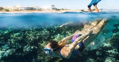 Lees alles over een vakantie naar Three Corners Equinox Beach Resort in Stad Marsa Alam voor 2027.