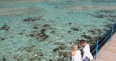 Lees alles over een vakantie naar Three Corners Happy Life in Stad Marsa Alam voor 2027.